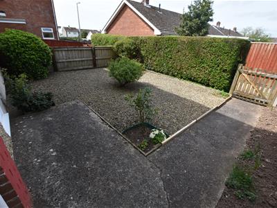 Picture 16